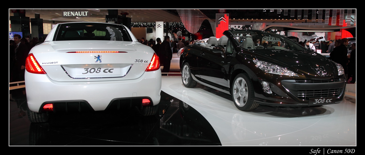 2008   10   Salon auto Paris   163